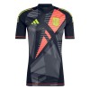 Maillot de Gardien Espagne Euro 2024 Noire Pour Homme